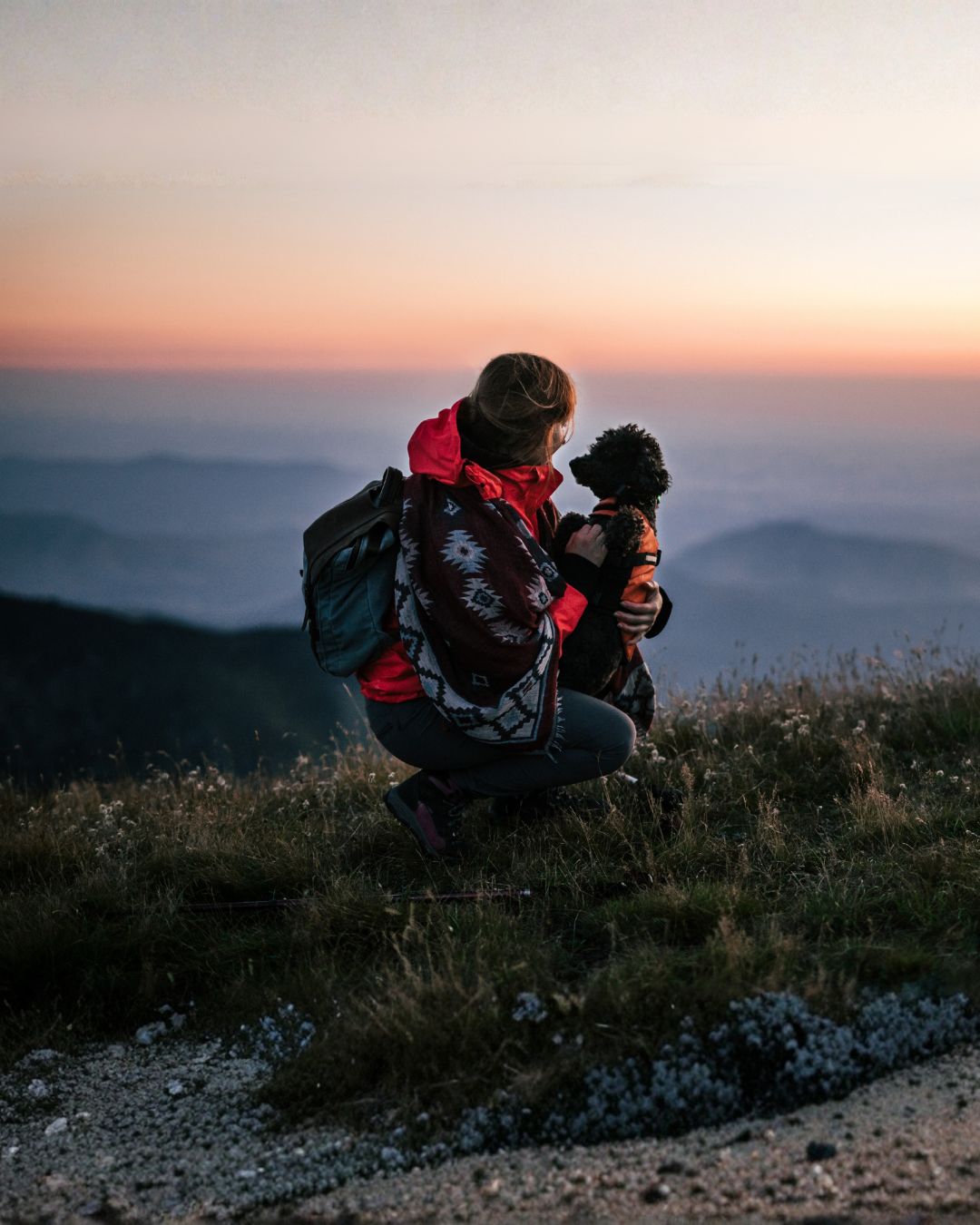 Dom Pansion Project (10)