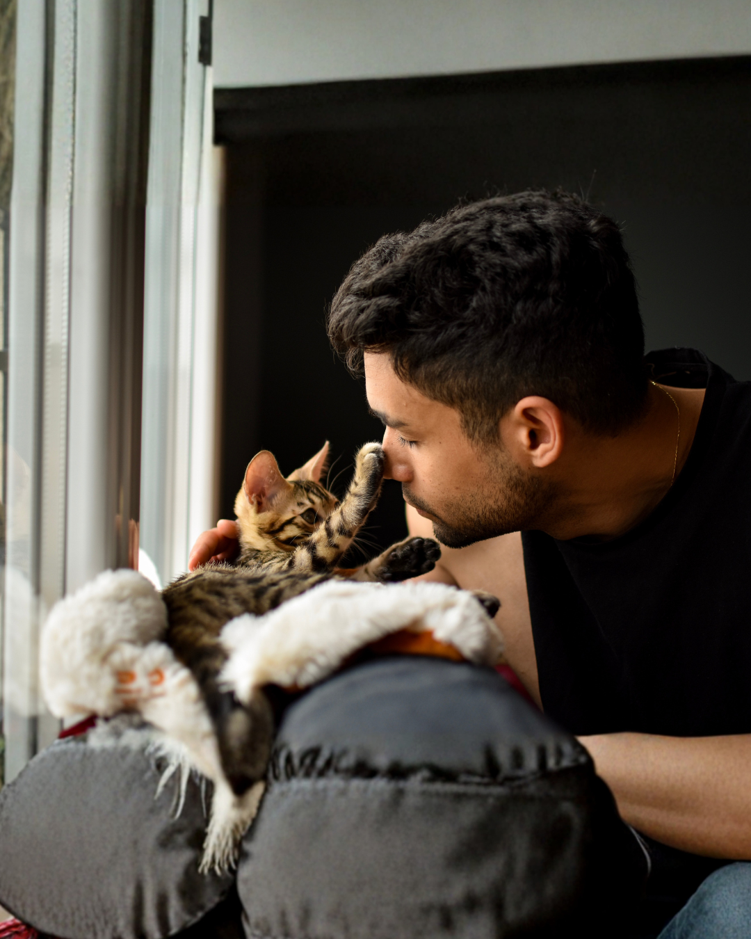 Dom Pansion Project (12)